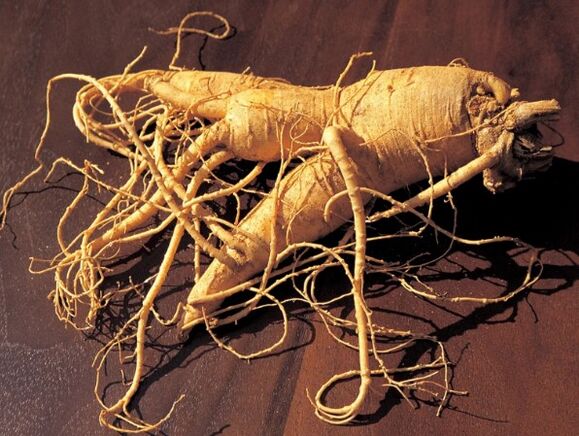 Akar ginseng