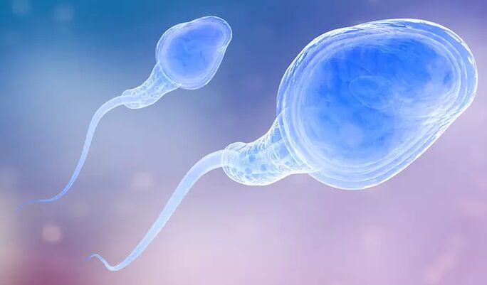 Sperma mungkin terdapat dalam pra-ejakulasi lelaki